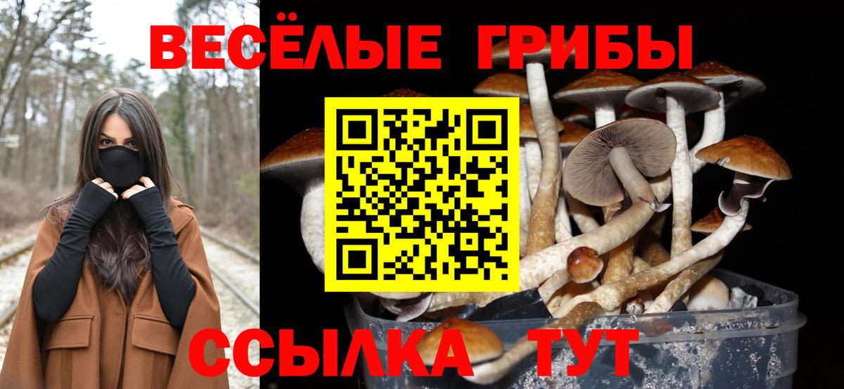 Галлюциногенные грибы мухоморы Миасс
